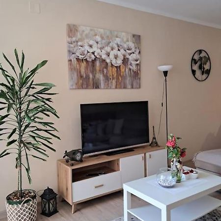 Holiday Home Apartment 부드바 외부 사진