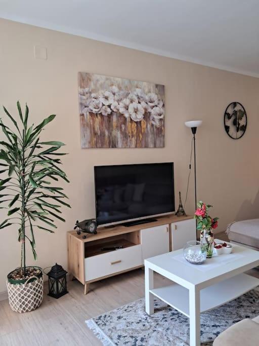 Holiday Home Apartment 부드바 외부 사진