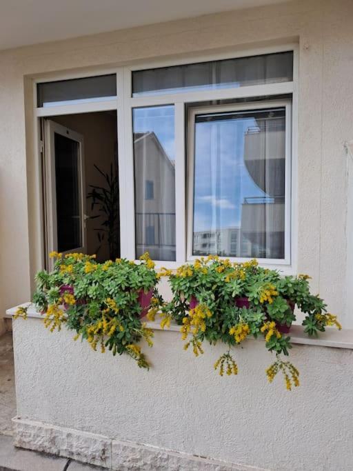 Holiday Home Apartment 부드바 외부 사진