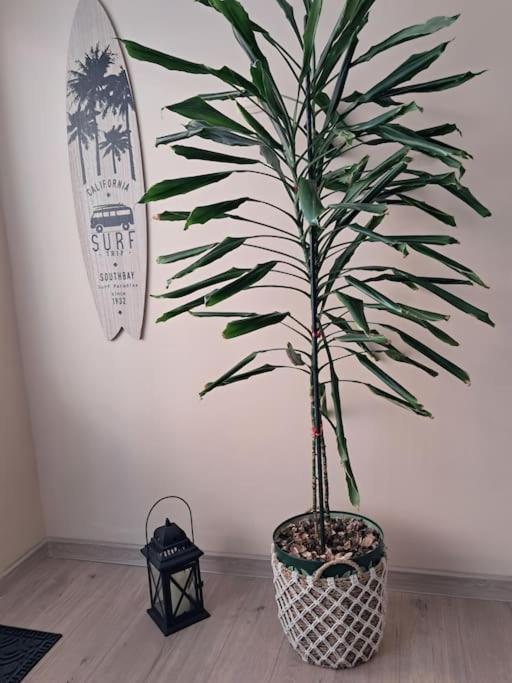 Holiday Home Apartment 부드바 외부 사진